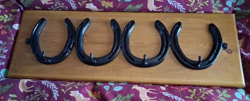 Horse shoes coat - horse,